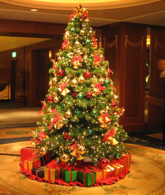 Árvore de Natal: saiba mais sobre a origem dessa tradição - Significados